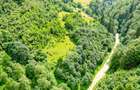 Investitie Smart in Moieciu, 3.1 ha, Panoramă 360 Bucegi - Piatra Craiului - 4