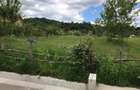 Teren intravilan Valea Lunga Cricov, jud Dambovita - 4