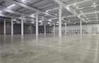 Spatii Industriale - 10000 mp - Logistica - Productie - Depozitare - Distributie - 4