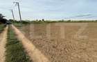 Teren intravilan, 2850 mp, zona Malu Mare - 2