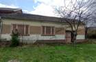 Bogodint, Casa cu 4 Hectare Teren, Pret Negociabil - 36