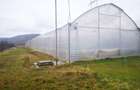Teren 12.000mp + sera 3.000mp, Ciofrangeni-Arges - 2