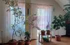 Joița, vilă 5 camere 187 mp utili + garaj, terasă, pivniță, curte 578 - 11