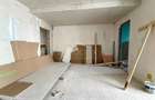 Penthouse Triplex Exclusivist *285mp* // Rooftop *93mp* // 2 Parking / Herastrau - 29