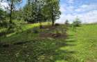 Vila din padure in Valea Doftanei - 45