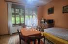 Proprietate cu potential turistic in Gurahont - 17