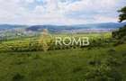 Teren vanzare Centura Donath Nord, 2900 mp - 8