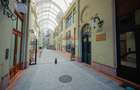 De vânzare apartament 3 camere, ultracentral - Palatul Vulturul Negru