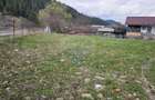 Teren 1,520mp Hangu / Strada Principala - 2
