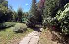 Aspen House, 5 camere, gradina matura, garaj, din caramida, Paradisul Verde - 2