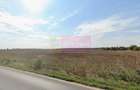 Teren extravilan de vanzare DN1 Paulesti (zona Movila Vulpii) - 3