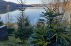 Casa De Vacanta cu vedere la lacul Bezid-OPORTUNITATE