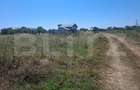 Teren de vanzare, 3000 mp, zona Dumbrava - 1