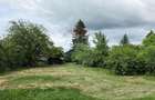 Domeniu rural, gospodarie/multifunctionala cu casa, livada, vie - 57