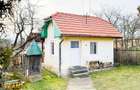 FILM! 5.000mp teren intravilan cu casuta rustica, Dalnic, Covasna - 18