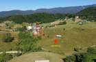 Teren intravilan 3.908 mp în Ciocanu – vedere panoramică spre Munții Bucegi