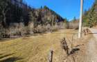 Teren intravilan 2690 mp la munte, Garda de Sus - 3