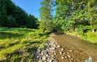 Teren Intravilan 12000 mp, Cascada Urlatoarea, proiect aprobat pentru Resort, la - 18