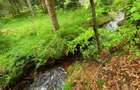 Casă de vacanță spațioasă în Călățele Pădure – Dealul Negru, teren 2000 mp - 3