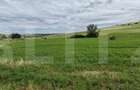 Teren extravilan, 2.2 hectare, zona Hilișeu-Horia - 1