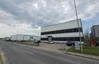 Inchiriere depozit frigorific congelare/hala/spatiu industrial Otopeni - Centura - 4