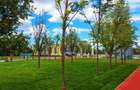 Apartament 3 camere, acces rapid metrou, rond Metro Berceni,Sector 4 - 23