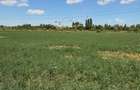 Vanzare teren intravilan 5000 mp Drumul Lunca Cetatii - Splaiul Unirii - 4