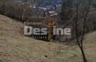 Teren 5000 mp, ideal cabana, pensiune,  in zona de interes  turistic  Rucar-Bran - 5