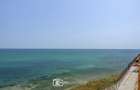 ✅Dezvoltator: Studio cu vedere frontală la mare - Evergreen Costinești - 14
