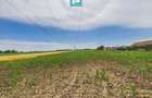 Teren extravilan 5000 mp, Arad - 11