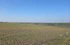 Teren intravilan, 4750 mp,  zona Exterior Nord - 1