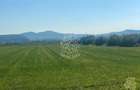 Teren 13400mp la DN 17-parcelabil Podirei - 7