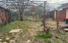 Casa pe parter cu acces auto - 14