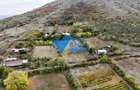 Teren intravilan NICULITEL, zona deosebita, 3044MP - 9