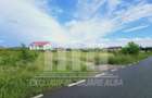 Teren intravilan | De vanzare | 5998 mp | 55 ml deschidere | Cetate - 1