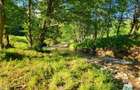 Teren Intravilan 12000 mp, Cascada Urlatoarea, proiect aprobat pentru Resort, la - 16