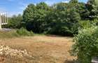 TEREN INTRAVILAN 1060 MP, BUCIUM- BARNOVA, DESCHIDERE LA DRUM 23 M - 4