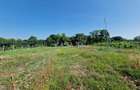 Casa 3 Camere + Teren si Anexe, Tirculesti- Danesti - 11