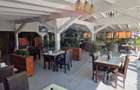 Spatiu comercial restaurant cu terasa de vanzare  in Olimp Constanta - 4