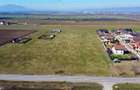 Teren intravilan 18.200mp, cu PUZ si PUD, ideal constructi case, Bod, Brasov. - 13
