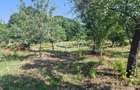 Casa 3 Camere + Teren si Anexe, Tirculesti- Danesti - 12