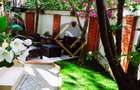 Vila  INVIDUALA ELEGANTA RENOVATA zona Domenii Arcul de Triumf - 13