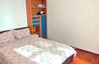 Apartament 2 camere, etaj 2, CT, geam baie, mobilat, bvd. Alexandru - 8