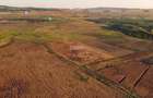 Teren extravilan 44.000 mp (4,4 ha) | Hărman | Comision 0% - 5