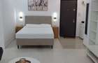 Studio- Cismigiu - Brezoianu - 1