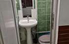 Inchiriere Apartament in Vila, parter+mansarda, zona Chibrit - 10