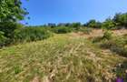 Teren Intravilan 546 mp | Panorama deosebita | PUZ in lucru - 10