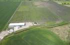 Platformă agro-industrială cu potențial de scalare - 7