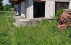 Construcție la Roșu pe Teren de 2.712 mp | Oarda – 160.000 € - 5