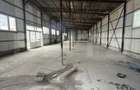 Hale Industriale + Showroom + Birouri - Acces TIR, 1120 mp, zona Găești - 14